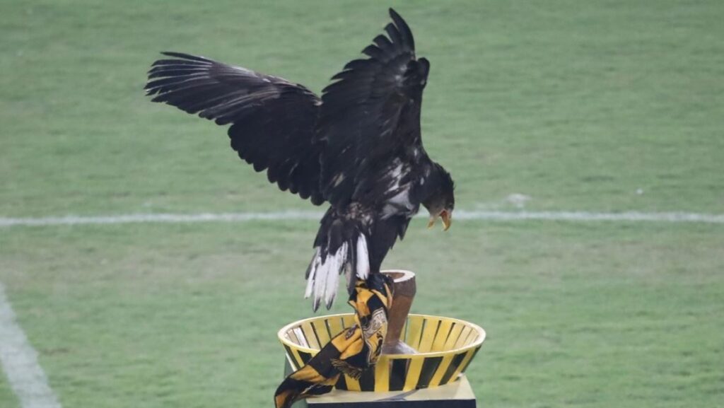 ΑΕΚ: Κάθετα αντίθετος με τον ζωντανό αετό ο Καφετζόπουλος