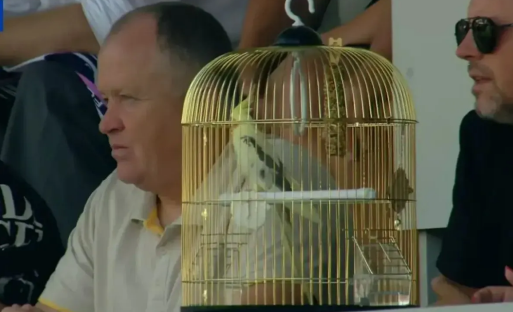 Σαχτάρ Ντόνετσκ: Παπαγάλος είδε από κοντά αγώνα της